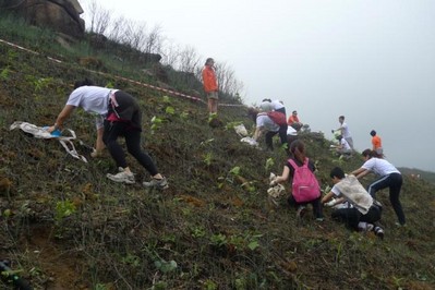 今年逾700人報(bào)名參加，為一幅去年被山火燒去大范圍林木的山坡種植約6,000棵樹苗。